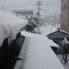 ドカ雪