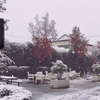 雪