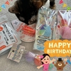 【祝】本日でもなちゃん3歳になりました。