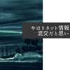 やはりネット情報は玉石混交だと思います