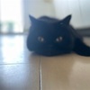 丹後に向けて…黄信号が点滅