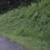 山の草刈り