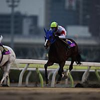 ユキチャンとは スポーツの人気 最新記事を集めました はてな