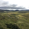  アフリカ編　南アフリカ　Drakensberg　（18）Malati Drakensberg Parkのレンタカー旅　Day1　宿情報も。