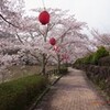 恵那峡の桜、LIVE