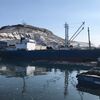 北千島のセベロクリリスク港　極東漁業の支援拠点