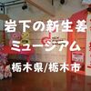 【観光スポット】栃木県栃木市「岩下の新生姜ミュージアム」煌めく幻想的ピンク生姜空間