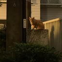 代田陶芸教室のブログ。