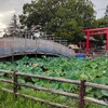 水害から2年　昨日と今日