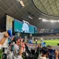 ベルーナドームで再び西武ライオンズ戦を観戦！おかわりクーポンでお得に阪神戦へ！