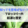 実はあの野菜と同じ仲間？ブロッコリーの起源と歴史