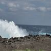 北大東島のインタープリテーション講習、無事終了