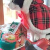 栗子だより🌰４歳５ヶ月