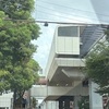 ルーモス　お留守番頑張りましたっ！