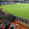 広島カープ⚾エスコン不敗神話&ヤバイ若鯉コイ🐟