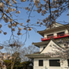 かるーいお城の雑学（その19）伊達・仙台藩の要害