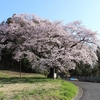 香西園と近所の桜🌸2021