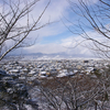 卵の状態が良かったので４５歳で男の子を出産できました。雪原を駆け、大空へ舞う飛行機