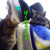 に～しゃん　ちゅげぐち・・
