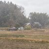 夢に見る風景と父のこと