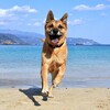 やっぱり海が好き！