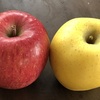 故郷から届いた 大好きなリンゴ！～「林檎 (リンゴ) の研究」