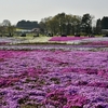 富田さとにわ耕園　(千葉市富田都市農業交流センター)　その六　～お花見サイクリング2022④～