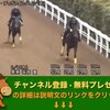 クイーンカップ（GIII） 【競馬調教】 ディヴァインハイツ調教動画