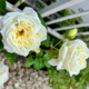 2024年我が家の薔薇さんたち（遅咲き）