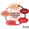 ﻿7 Methods Your Gut Bacteria Influences Your Health Â†' ÐŸ'Š Health