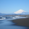 春の湘南海岸