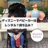 ディズニーデビューは何ヶ月 0歳11ヶ月の赤ちゃんとディズニーランドを楽しめた むきだしのことば ワーママえむのブログ ディズニーデビューは何ヶ月 0歳11ヶ月の赤ちゃんとディズニーランドを楽しめた むきだしのことば ワーママえむのブログ