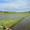 仕事と競技も根本的には同じだよね🕴🏊🏽‍♂️🚴🏽‍♂️🏃🏽‍♂️