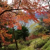 日本百名山　栃木県　男体山　2019年10月26日