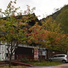 奥日光湯元温泉に秋がくる ～今秋の紅葉は期待できないか！？～