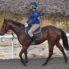 １０日に栗東・池添学厩舎へ帰厩しています。☆イルデレーヴ