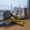 今週のレッスン　とよの保育園さま