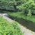 7月2日(水)秩父フライフィールドの河川情報