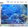 水族館の写真展示サイト作りました！