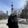 札幌市民の憩いの場、大通公園にもやっと春がやってきました