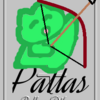 射手座「９ハウス」小惑星パラス　Pallas