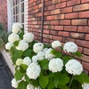 どこにいても、同じ景色