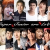 Download Lagu Super Junior Listen To You