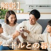 トイプードルの飼い方【完全ガイド！】しつけから散歩、注意点まで