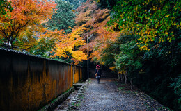 Go to entry