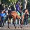 【一口馬主／カネラフィーナ】デビュー日決定！鞍上は…？