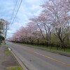 茗溪学園前の桜～つくば市とその周辺の風景写真案内（１０１１） 