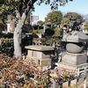 岡倉天心の墓、二葉亭四迷も。