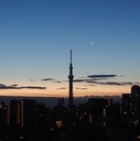 都会の夜を歩くだけ
