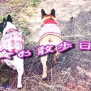 フレブルLGお散歩★日和